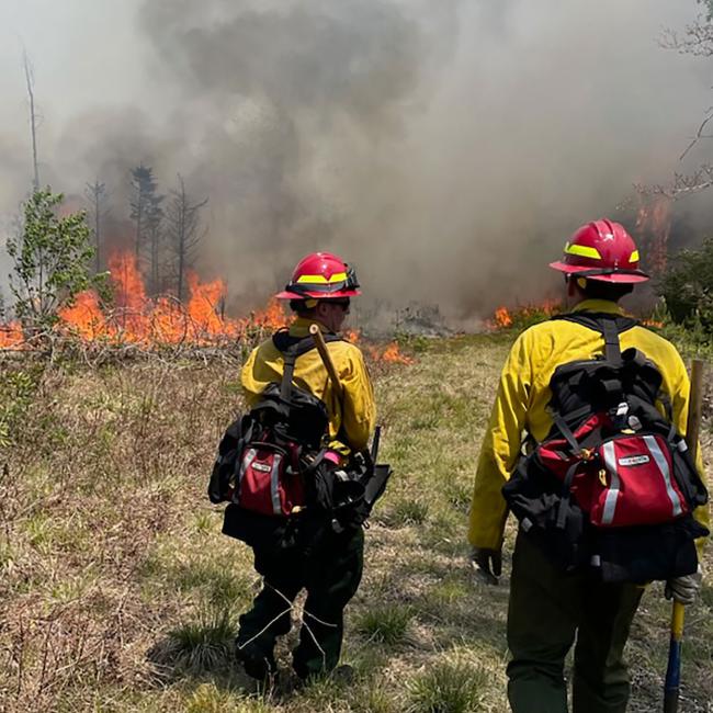Forest Ranger Chris Pelrah shares his experience fightinf wildfires in Canada