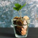 plant growing out of a pot of coins