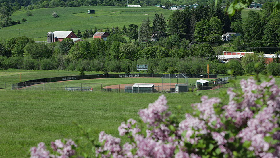 A view of campus with flowers in bloom