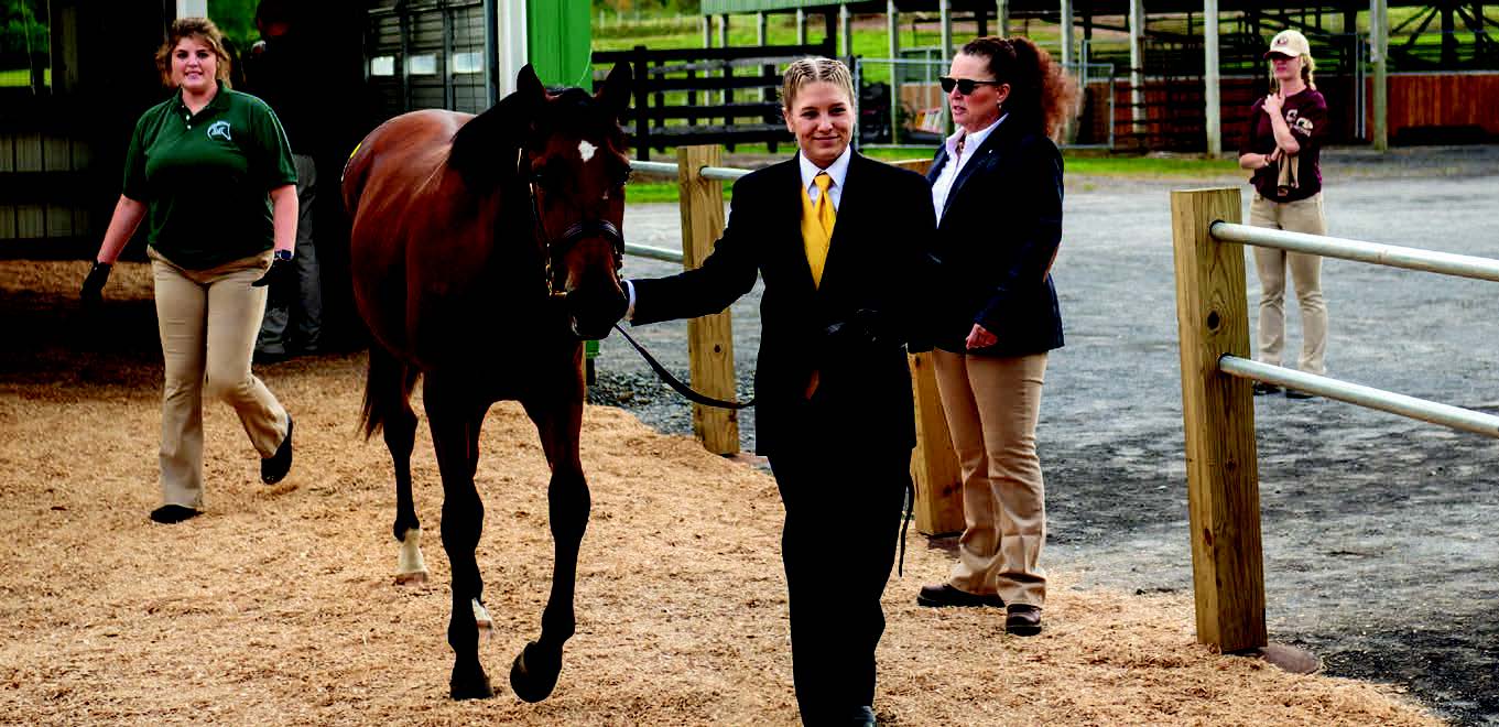 A student leads her horse in a horse show