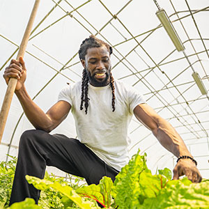 Field of Dreams | News | SUNY Morrisville