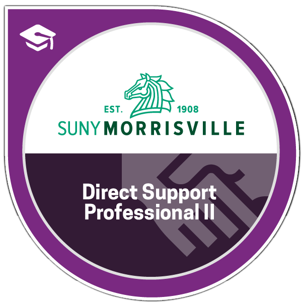 Direct Support Professional II