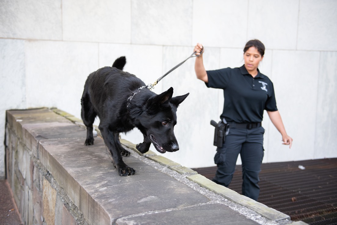 University police officer Nicole Wright with canine officer Bruin