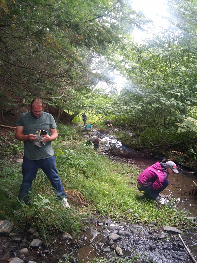 Norwich students search for species of salamander and toad at Owens West Wildlife Management Area during a “live-learning” Herpetology class.