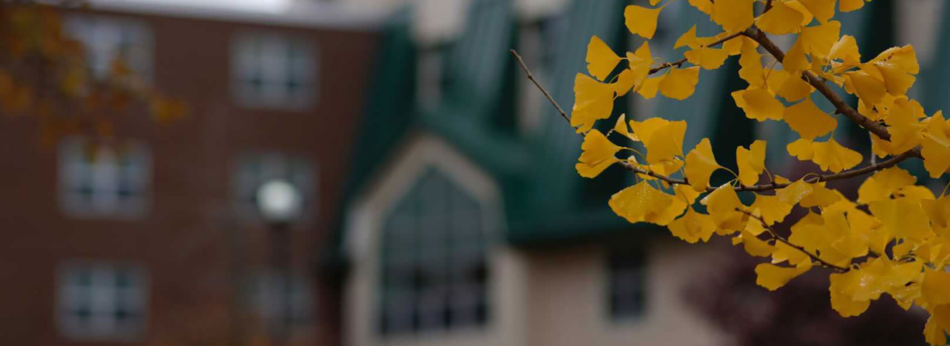 SUNY Morrisville campus during fall