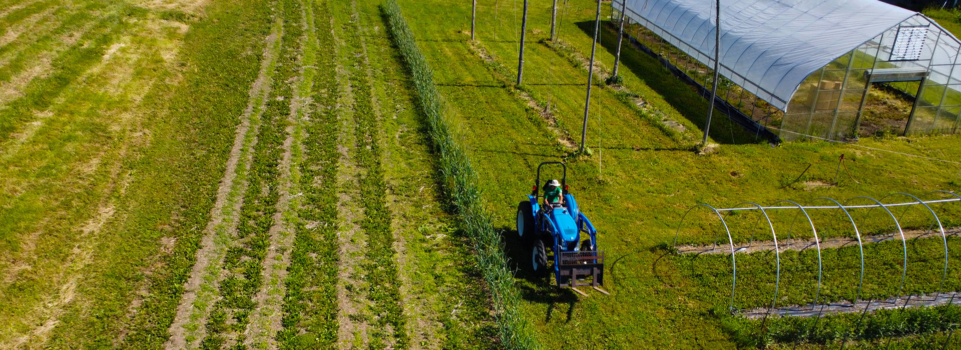 an agriculture student drives a tractor through a field