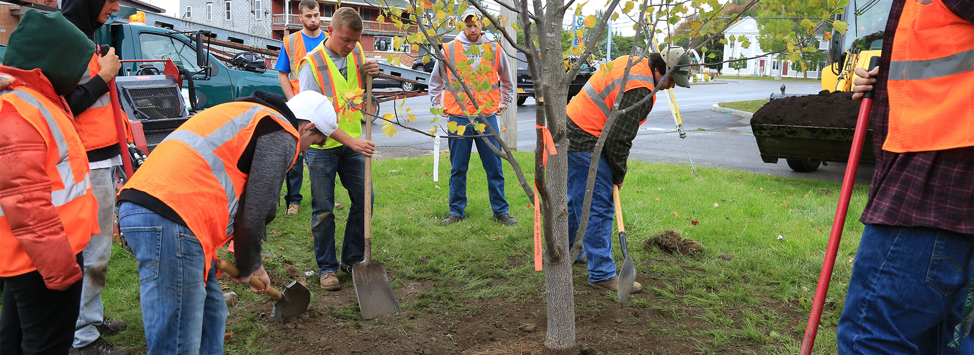 Students plant trees for arbor day