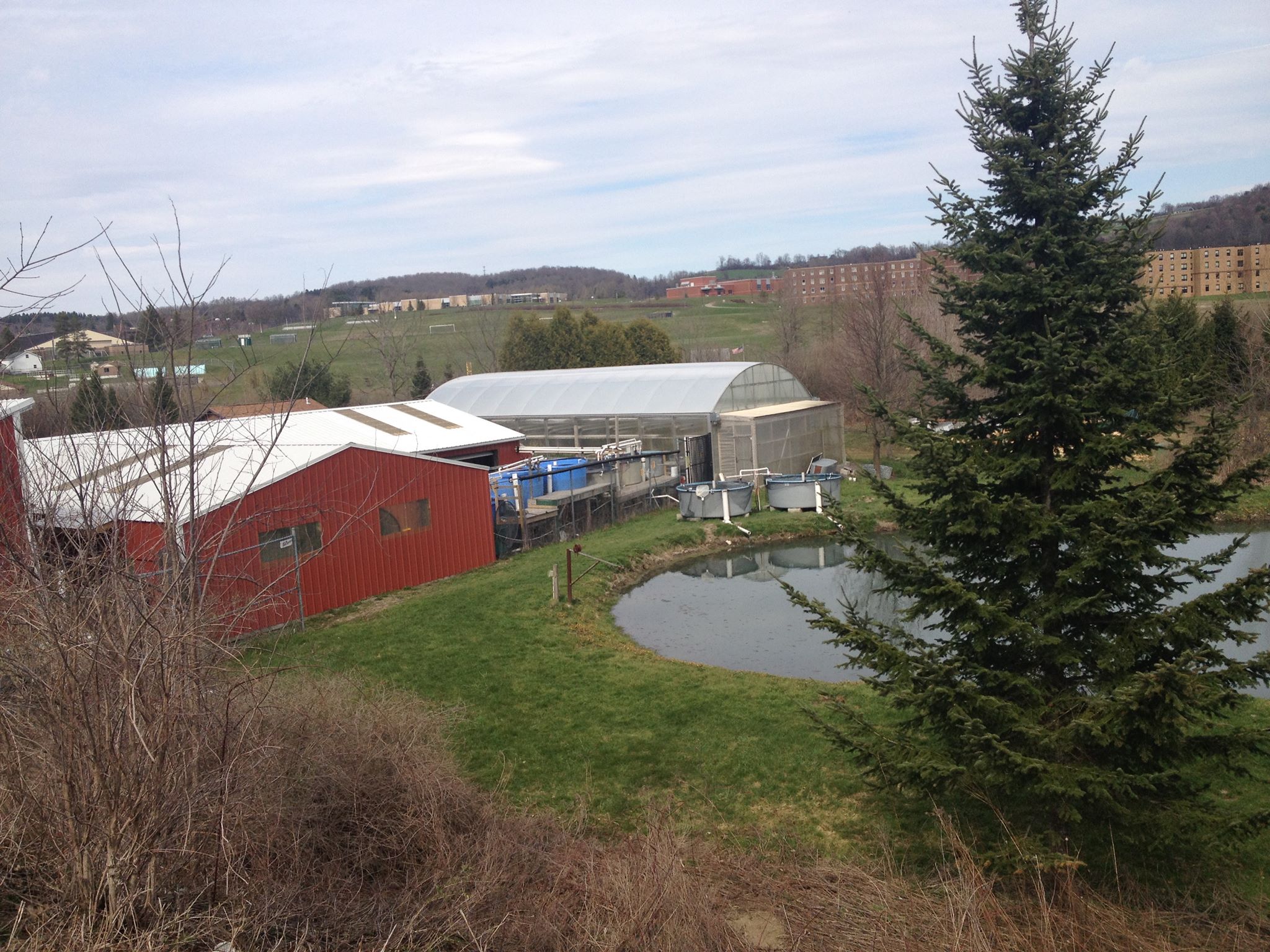 This picture shows an image of the aquaculture center.