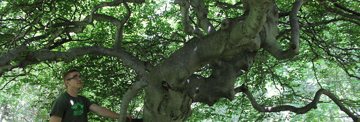 SUNY Morrisville Arboretum