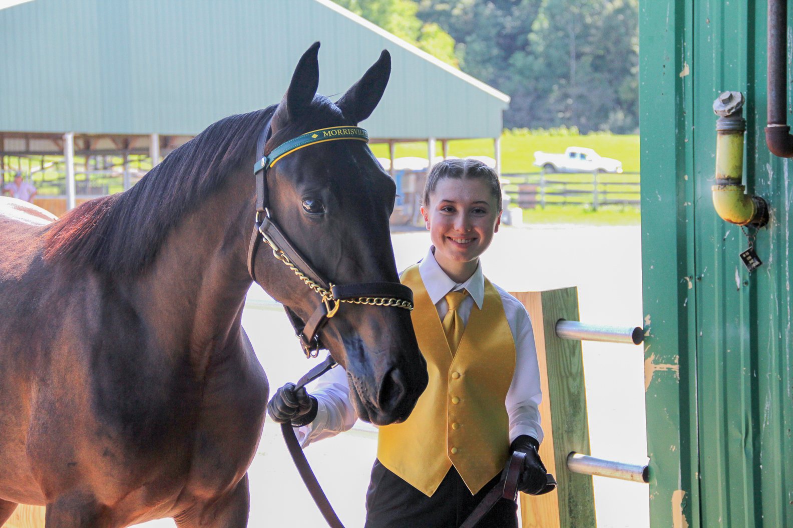 SUNY Morrisville equine student, Christine Kevan, leads a yearling into the show ring during the college’s 2018 Annual Yearling Sale.