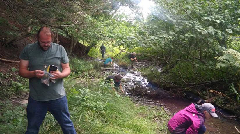 Norwich students search for species of salamander and toad at Owens West Wildlife Management Area during a “live-learning” Herpetology class.