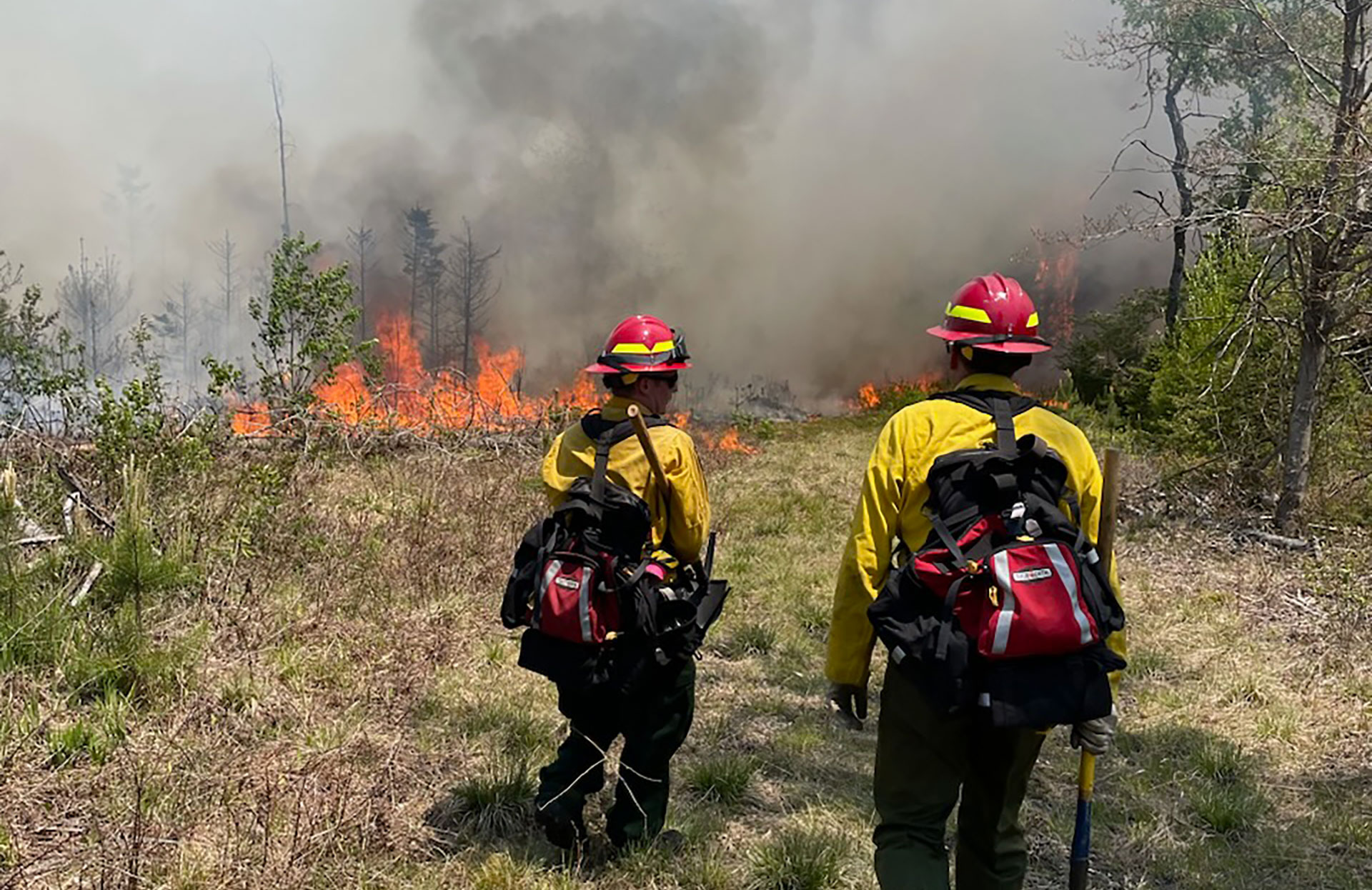 Forest Ranger Chris Pelrah shares his experience fightinf wildfires in Canada