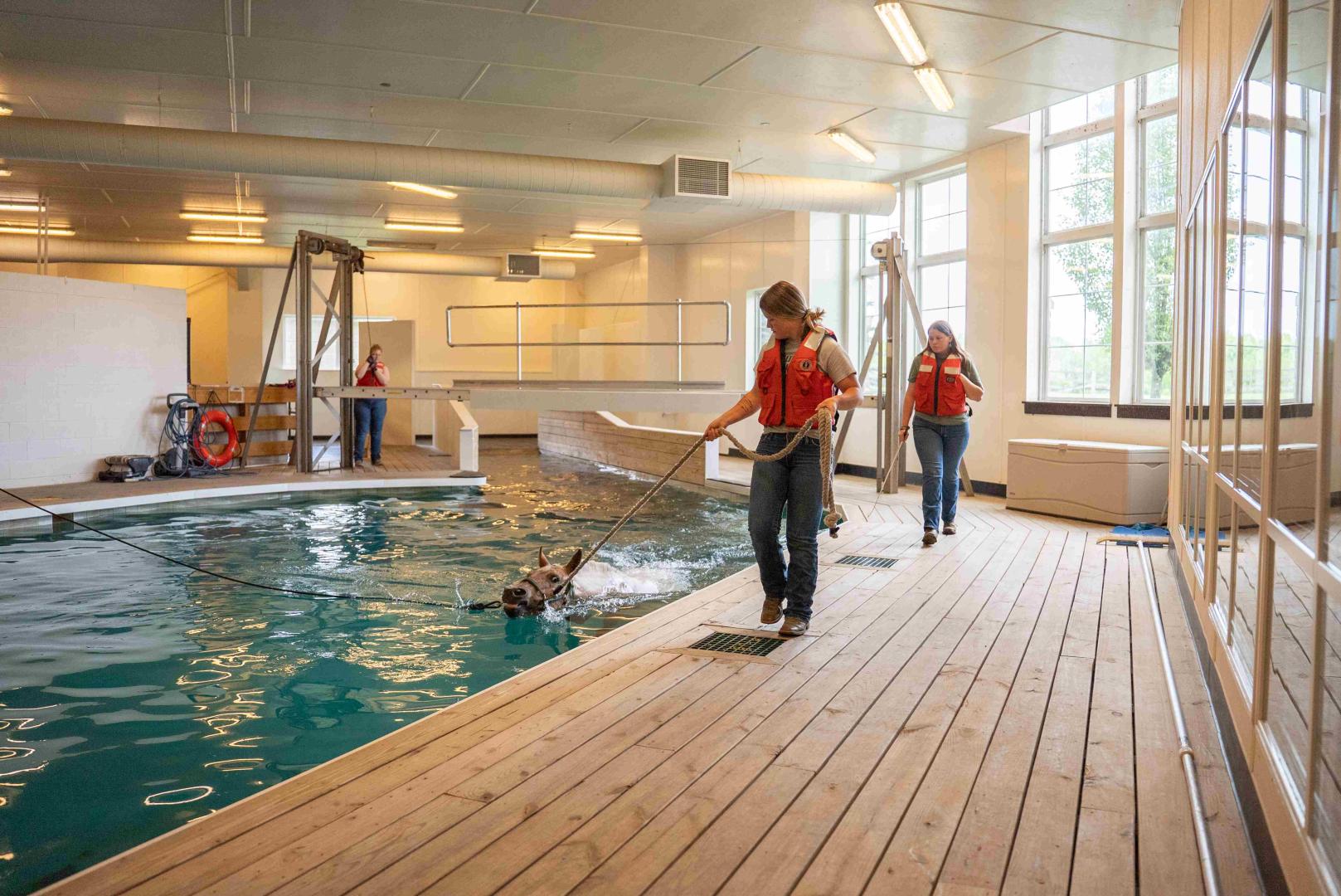 Interns are among those keeping things going at the Equine Rehabilitation Center