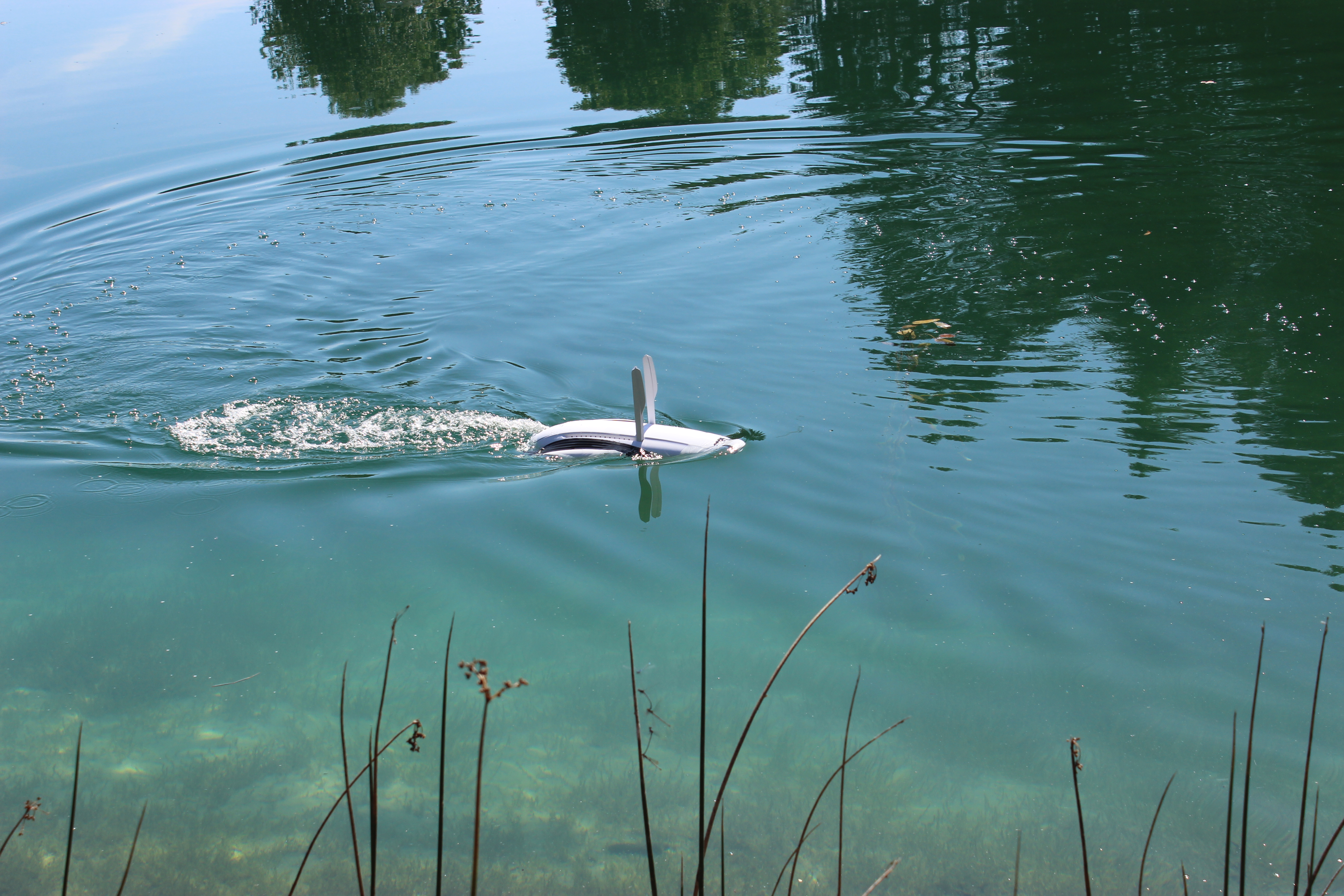 Pictured is a Power Dolphin surface drone, which yielded some of the best images during the aquatic drones and turtle study