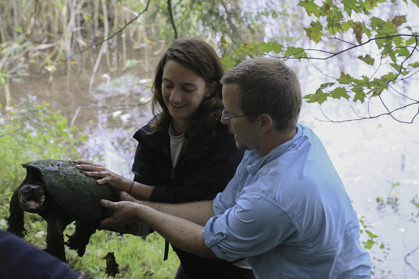 SUNY Morrisville assistant professor Eric Diefenbacher shows renewable resources technology student Kate Augustine (Saranac Lake) how to hold a common snapping turtle.