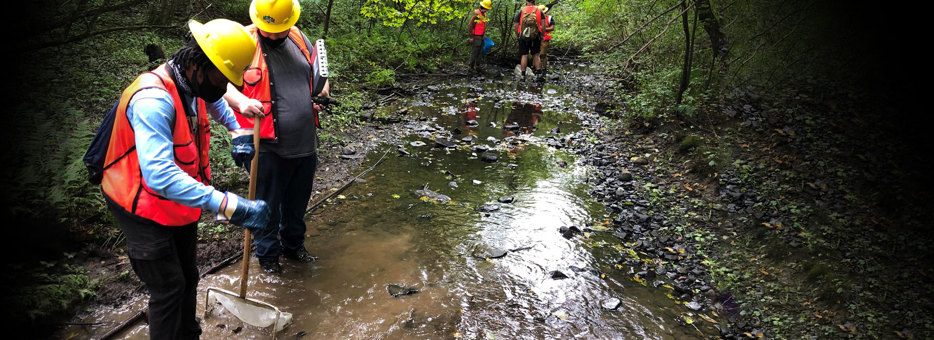 Students sampling macroinvertebrates in a stream