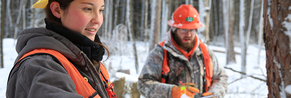 Students working in the woods