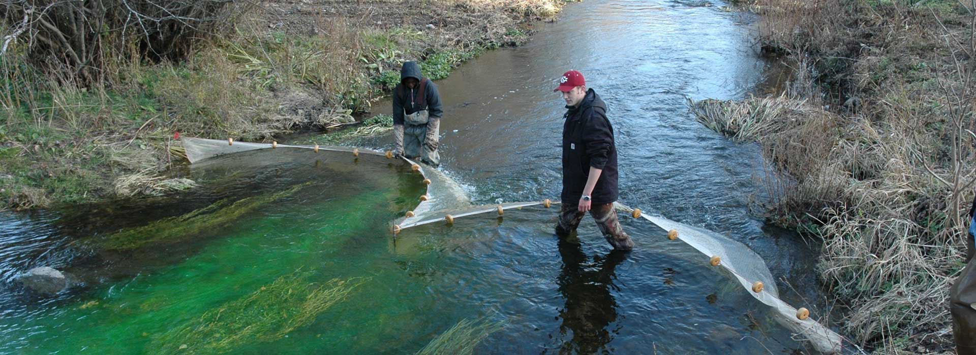 Students work with nets in a body of water.