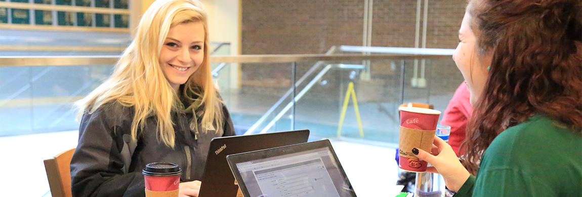 Students work on laptops