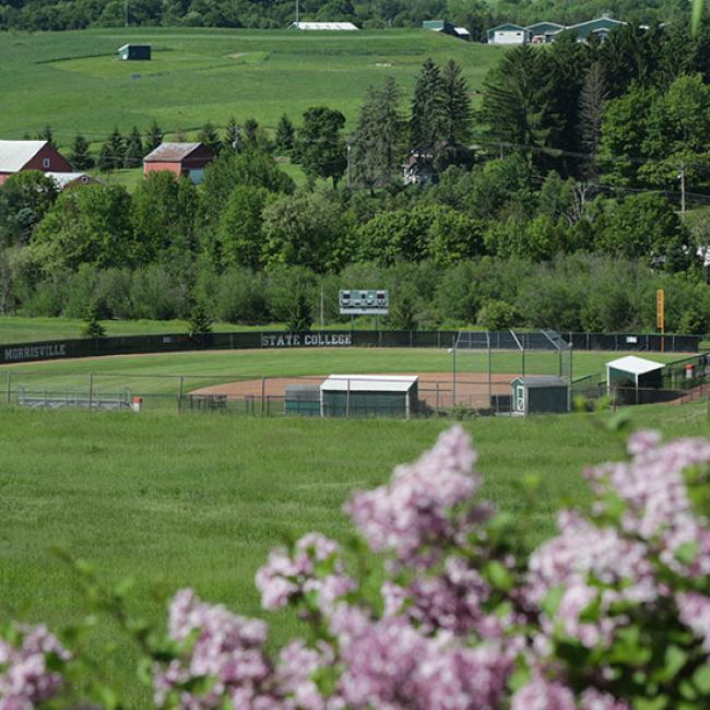 view of softball field surrounded by flowers