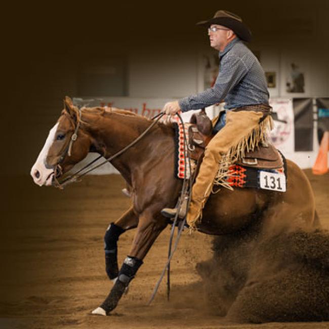 RE Sears competes with Holy Cannoli Katie in the Novice Horse Open at the Erie County Fairgrounds in Hamburg, NY Lake Effect Series