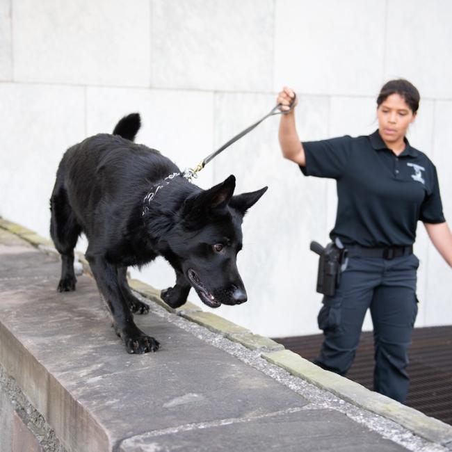 University police officer Nicole Wright with canine officer Bruin