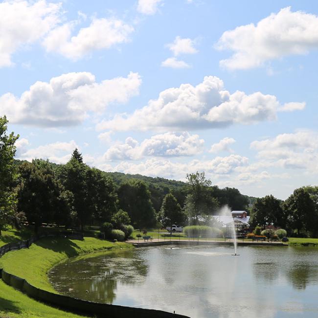 A view of campus during the spring