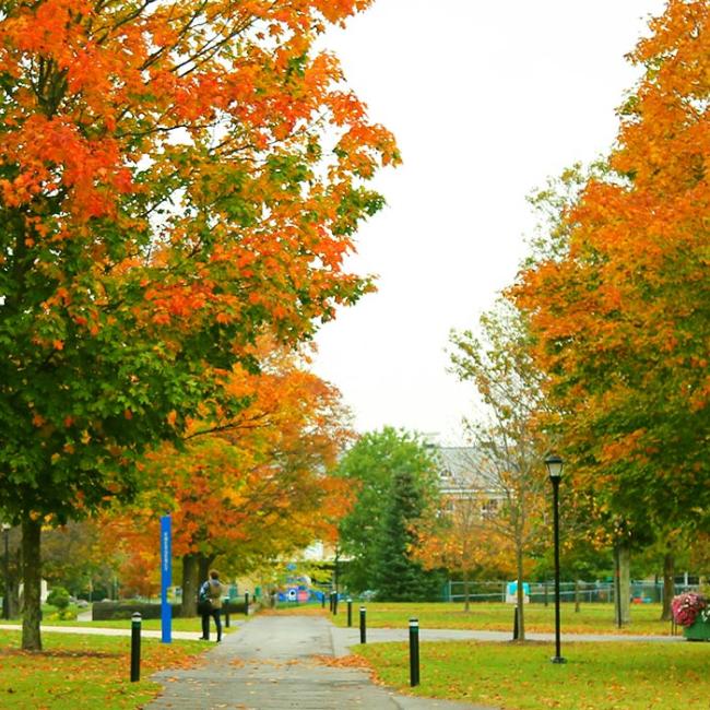 Fall view of campus