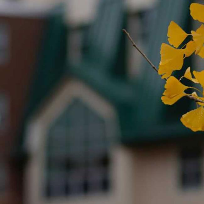 Fall view of campus