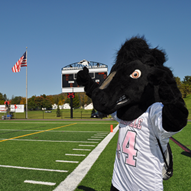 Mustang mascot raising his arms.