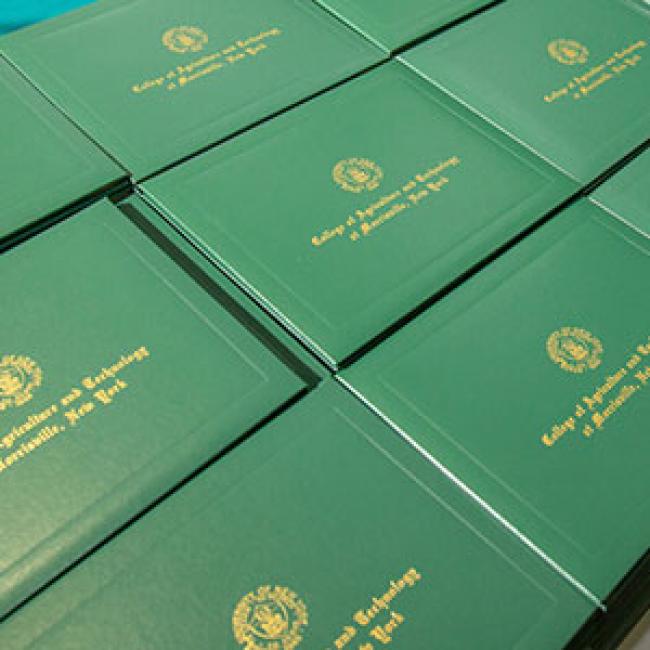 Diploma covers lined up for Commencement