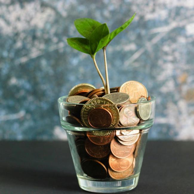 plant growing out of a pot of coins