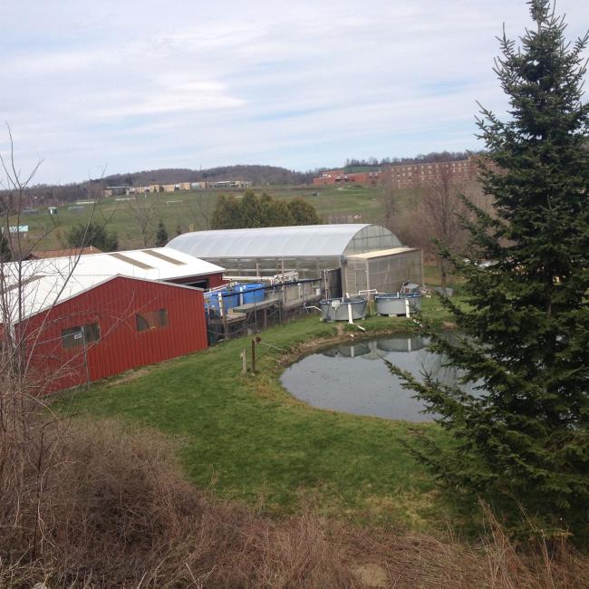 This picture shows an image of the aquaculture center.