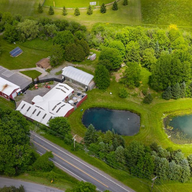The Aquaculture Center and ponds
