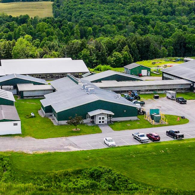 Dairy Complex