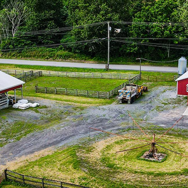 Belgian Draft Horse Center