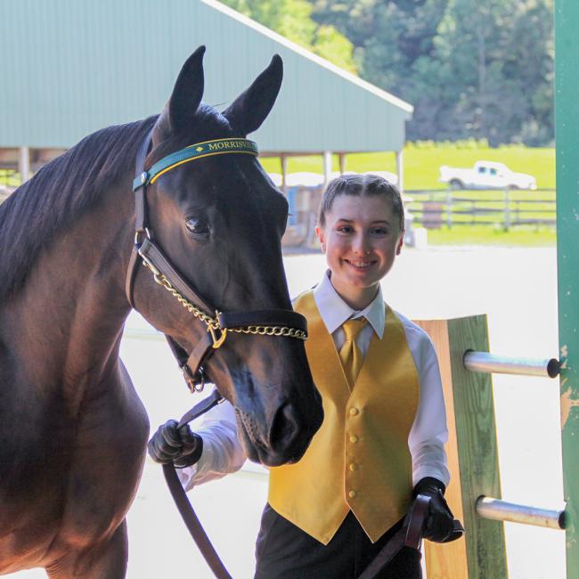 SUNY Morrisville equine student, Christine Kevan, leads a yearling into the show ring during the college’s 2018 Annual Yearling Sale.
