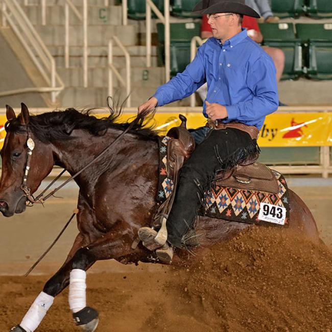 Gates on a Horse