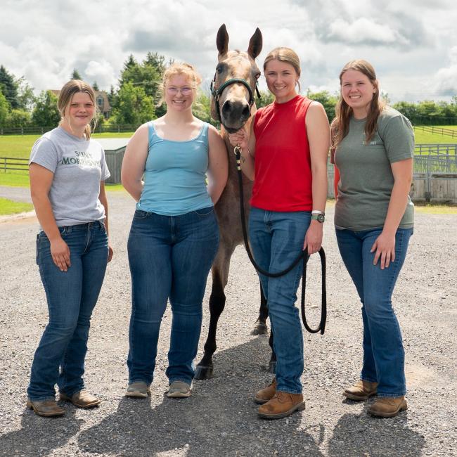 Interns are among those keeping things going at the Equine Rehabilitation Center