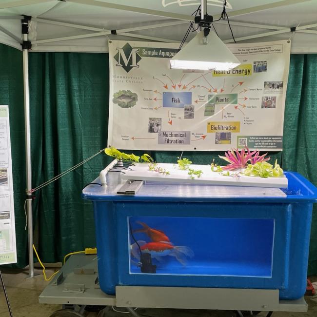 Aquaponics display