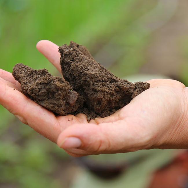 Agricultural Science Professor Jen Gilbert Jenkins holds a handful of soil as she teaches about soil sampling