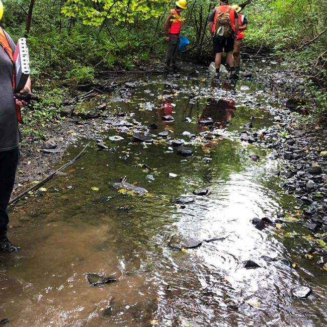 Students sampling macroinvertebrates in a stream