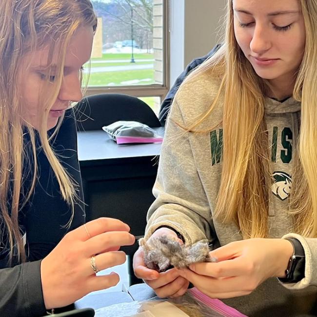 The agricultural business degree offers students the flexibility to enroll in livestock, agronomy, dairy, horticulture, equine, and many other agriculture courses.
