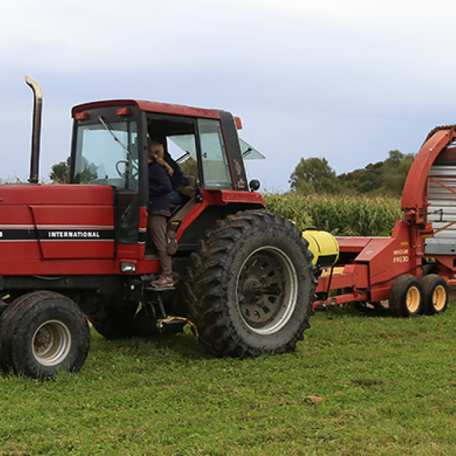 Student driving a tractor