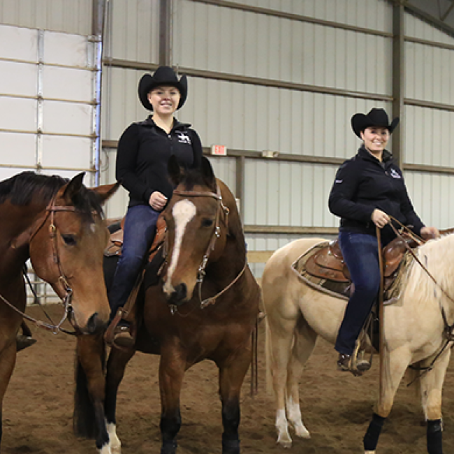 Western riding students and their horses
