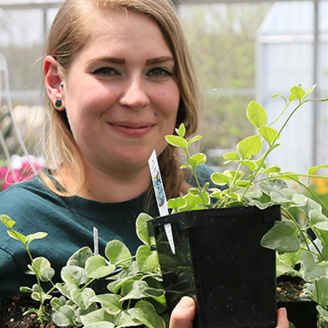 Student helping at plant sale
