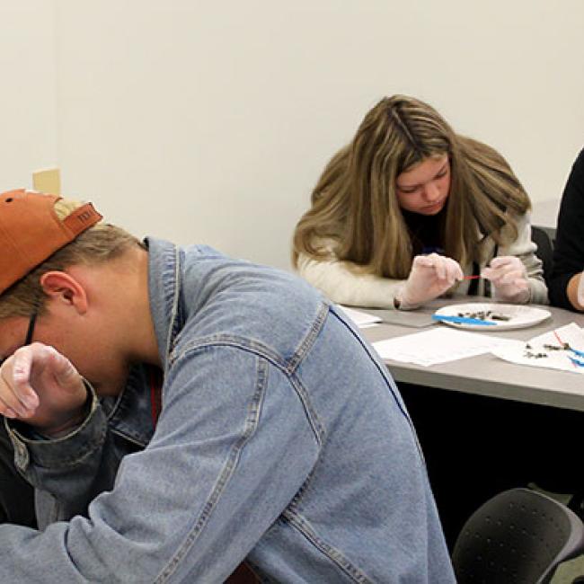 Students work together in the Human Services program.