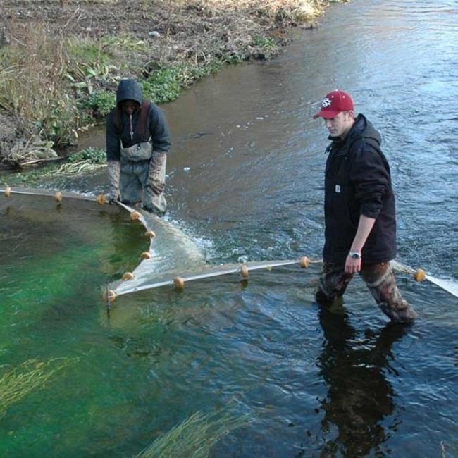 Students work with nets in a body of water.