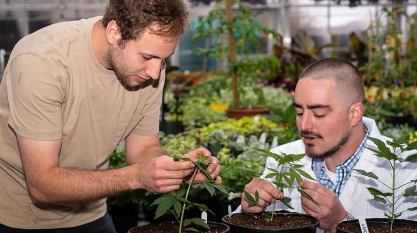 Howard Rice shows a student a hemp plant