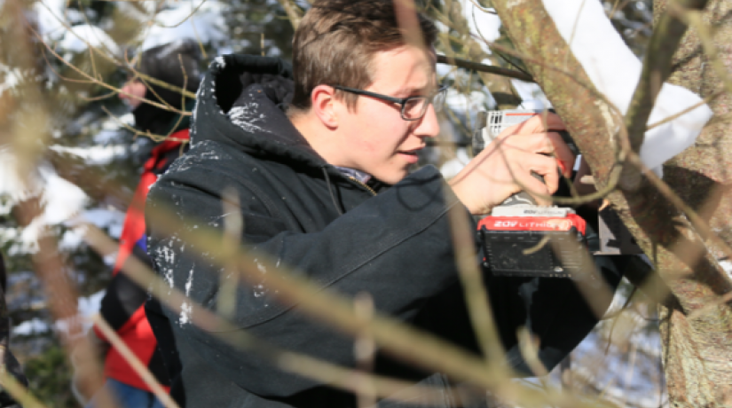 student working on a tree with a drill